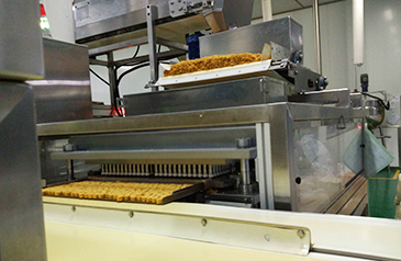 Línea de producción de fideos snacks